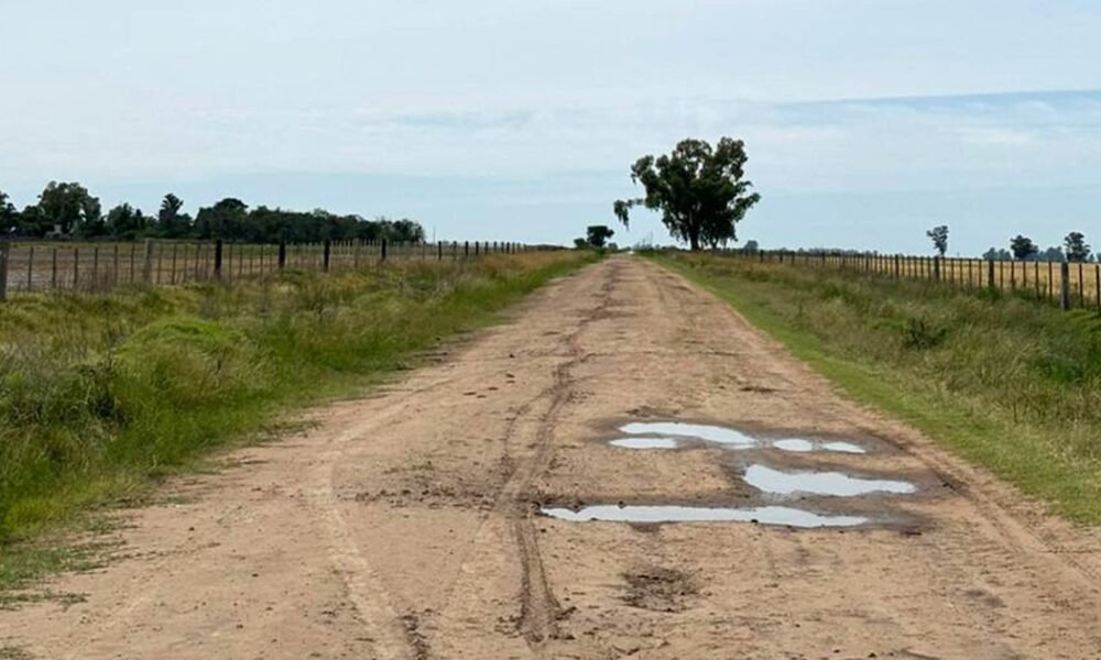 Tasas municipales: los insólitos costos que los distritos rurales aplican sobre los productores