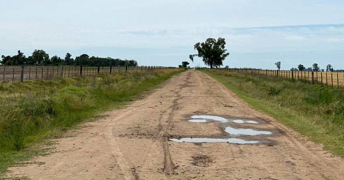 Tasas municipales: los insólitos costos que los distritos rurales aplican sobre los productores