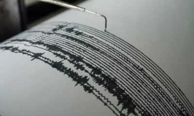 Un terremoto de magnitud 6.7 sacudió la costa sur de Nueva Zelanda: hay alerta por fuertes corrientes y oleaje
