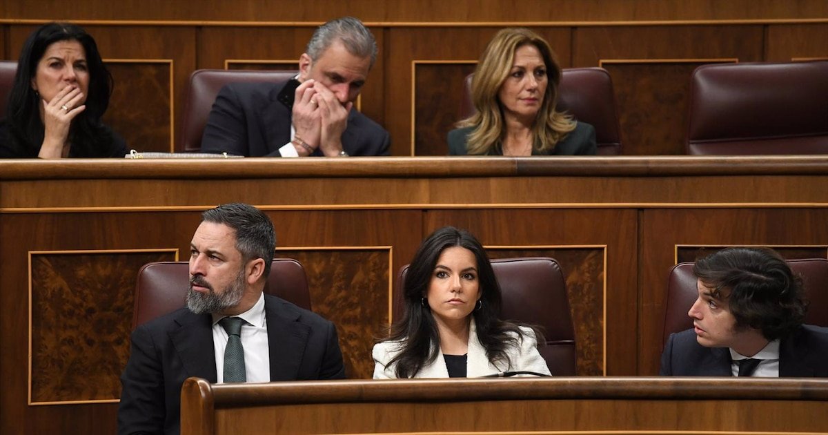 Vox quiere frenar en el Congreso la ley que regula los 'lobbies' por dejar fuera a partidos, sindicatos y patronales