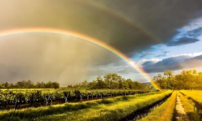 ¿Cómo estará el clima en Puebla de Zaragoza?
