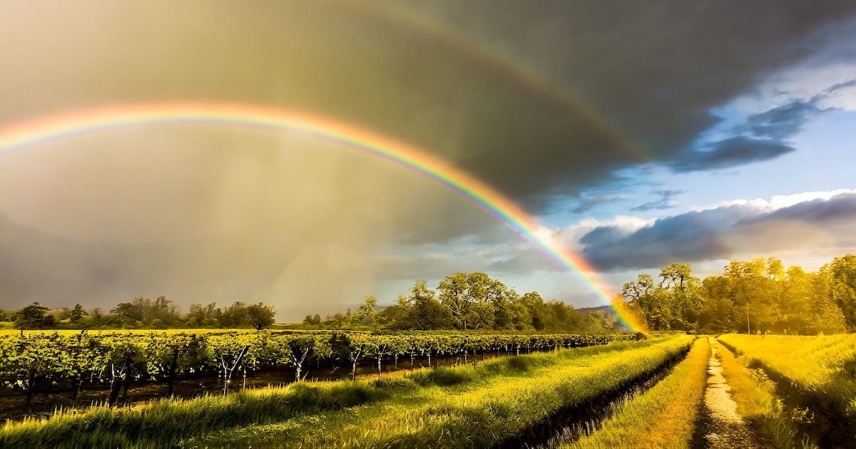 ¿Cómo estará el clima en Puebla de Zaragoza?