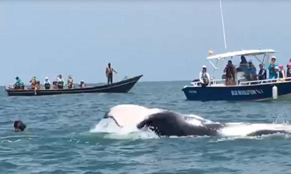 Buenaventura También le Apesta A No Dejar Morir Su Turismo y Que no Caiga en Manos de la Violencia