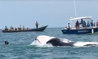 Buenaventura También le Apesta A No Dejar Morir Su Turismo y Que no Caiga en Manos de la Violencia