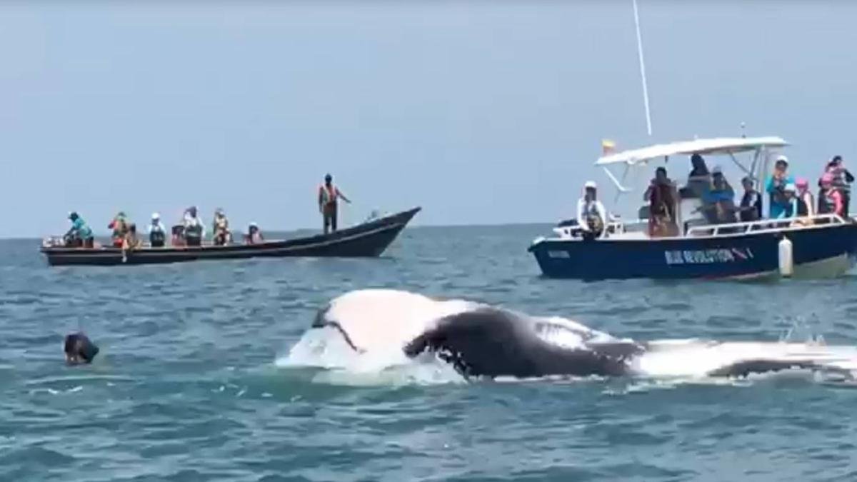 Buenaventura También le Apesta A No Dejar Morir Su Turismo y Que no Caiga en Manos de la Violencia