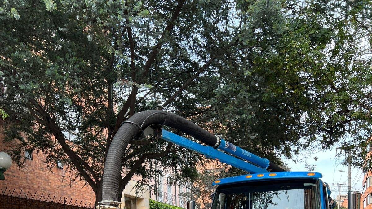 Bogotá Sin Racionamiento, Pero Con Cortes de Agua por Mantenimiento en Semana Santa: Horario y Barrios Afectados