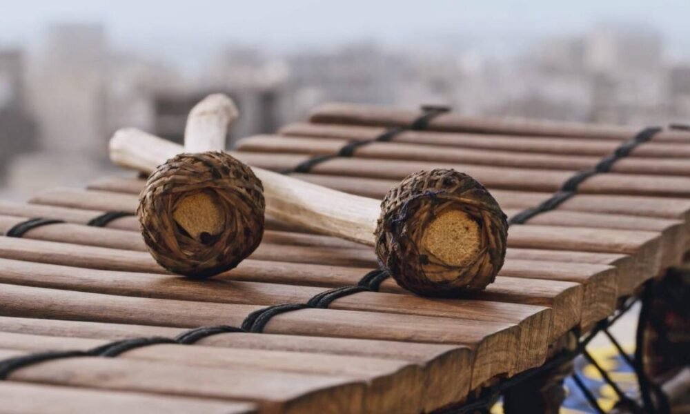 El Instrumento Musical Tradicional al Que le Dicen 'El Piano de la Selva'