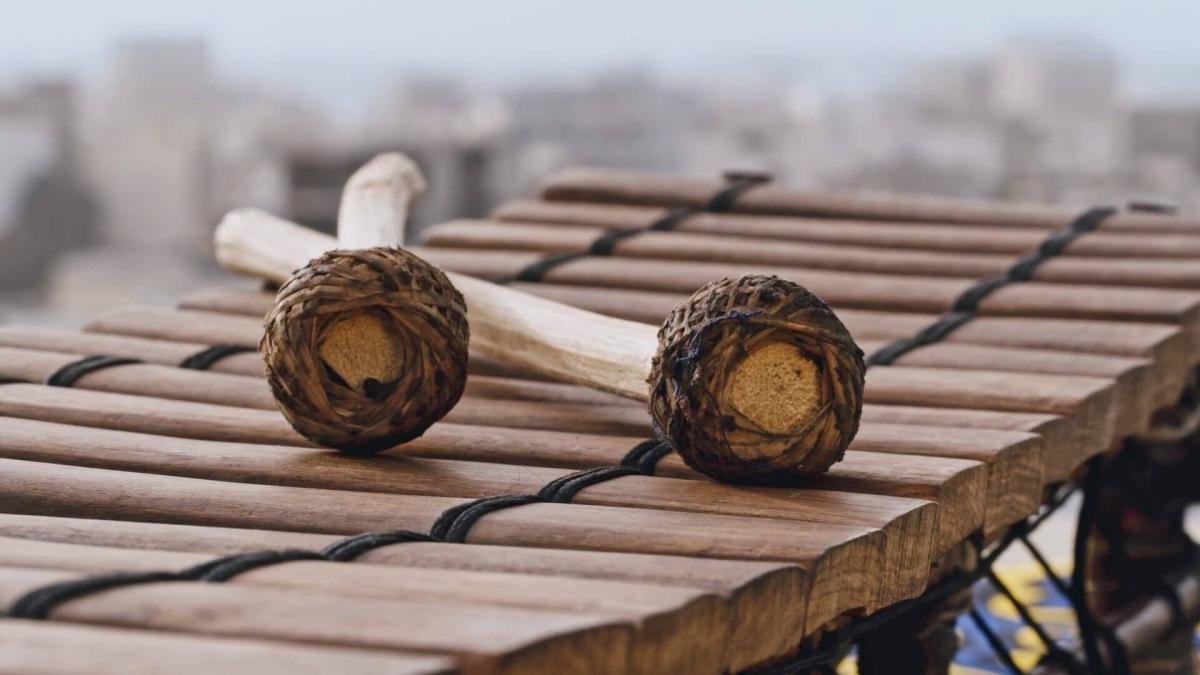 El Instrumento Musical Tradicional al Que le Dicen 'El Piano de la Selva'