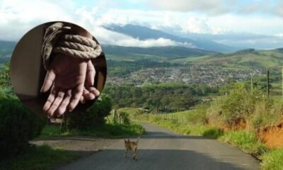 En videos, Piden Liberació de Veterinario Secuestrado; Ejército trata de impedir que Delincuentes Huyan Al Cauca
