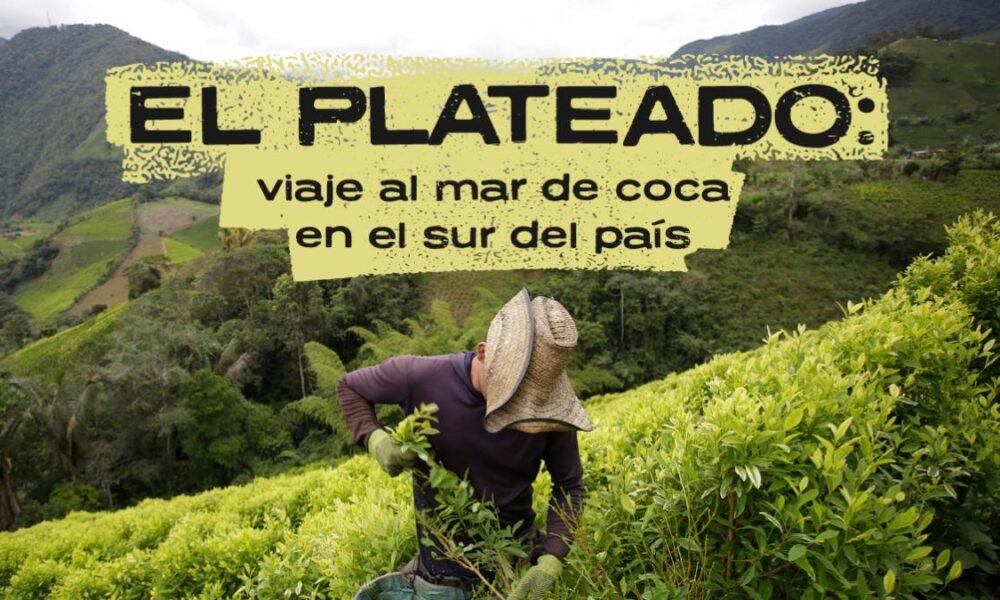 dónde queda y cómo se vive en el mar de coca que defiende las disidencias