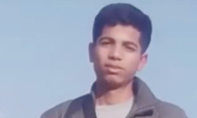 'Sigue Delicado'; ¿Qé Pasará con los animales?