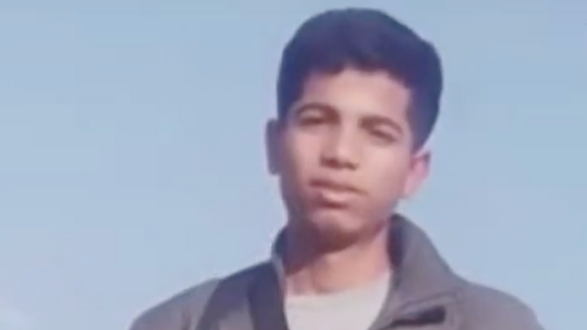 'Sigue Delicado'; ¿Qé Pasará con los animales?