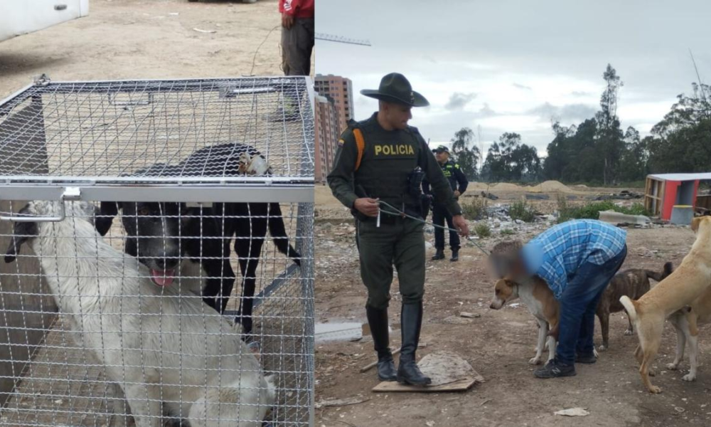 Responsables de Los Perros del violento ataque en bosa fueron entregados a Las Autoridades para su evaluación