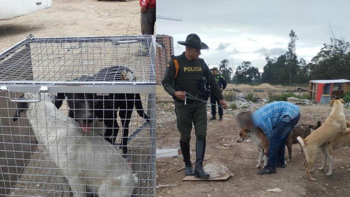 Responsables de Los Perros del violento ataque en bosa fueron entregados a Las Autoridades para su evaluación
