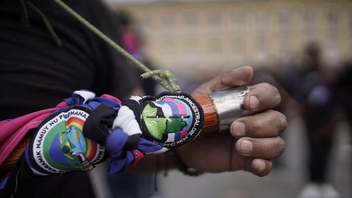 Líder Indígena del Cauca Explica Cuáles SONB SUS RECLAMOS CONTRA EL GOBIERNO