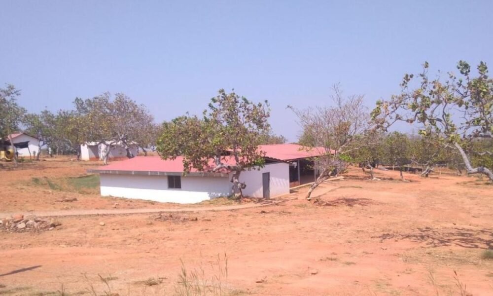 Defensoría del Pueblo advierte que conflicto del catatumbo Podría Trasladarse A Serranía del Perijá