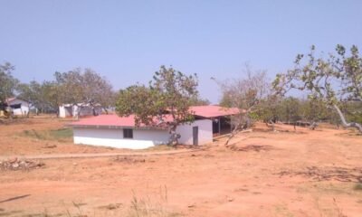 Defensoría del Pueblo advierte que conflicto del catatumbo Podría Trasladarse A Serranía del Perijá