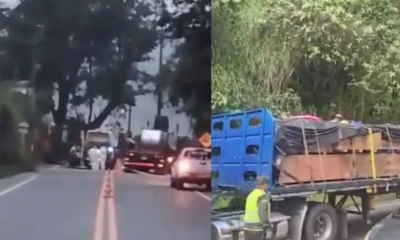 SE Conocen Nombres de Familia Que Falleció en Grave Accentione en La Pintada, Antioquia; Iban de Polizón en camión