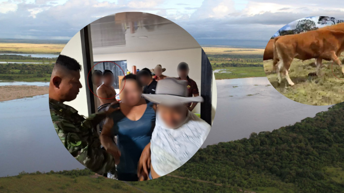 El Drama de Seis Vaqueros Que Fueron intimidados, Golpeadas y Amordazados en Robo de 60 Reses: Dijeron ser de AGC