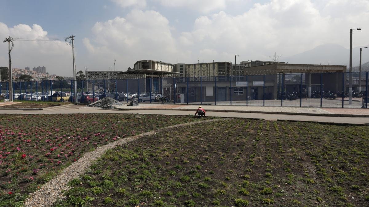 Bogotano Pagó Tres Meses de Cárcel Tras Ser Vícima de Suplantació de IdentiDad Por Un Ladrón