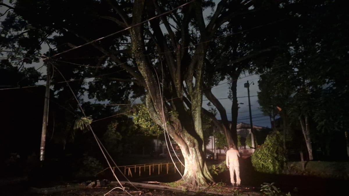 Así Fue El Fuerte Vendaval en Cali Que Dejó Árboles Caídos, Casas Afectadas y Calles Sin Energía: Balance