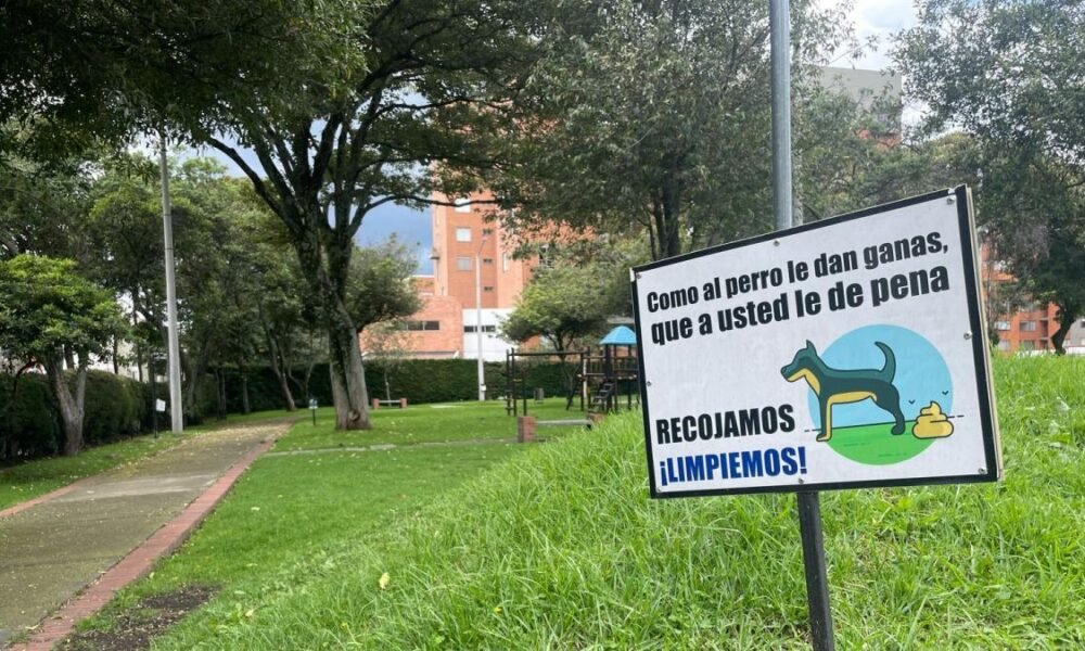 Entre Juegos y Excrementos / Opinión