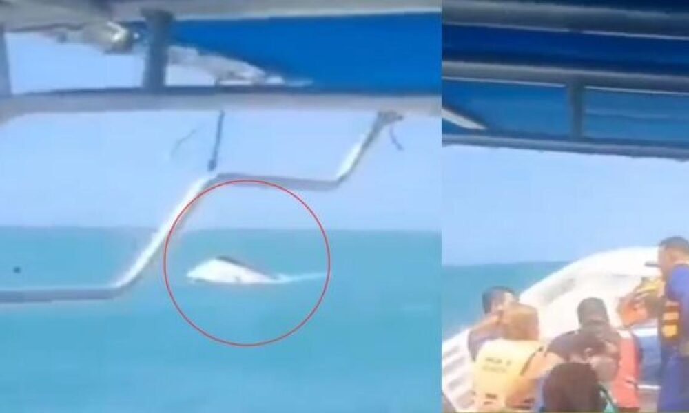 Autoridadas sin personas de registro Heridas