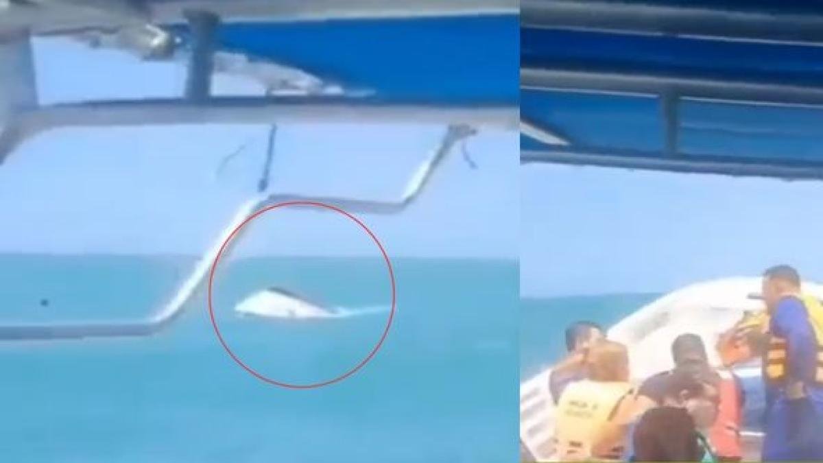 Autoridadas sin personas de registro Heridas