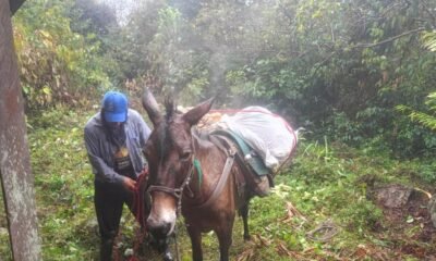 El drama de una madre que perdió su tierra por el conflicto armado hace 23 años y Hoy la recuperó en el meta
