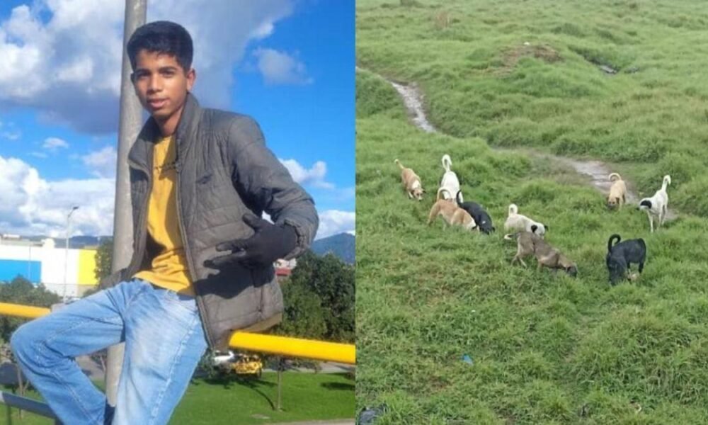 El drama de un padre que aun no le ha dicho a su hijo que perdió sus brasos tras ataque