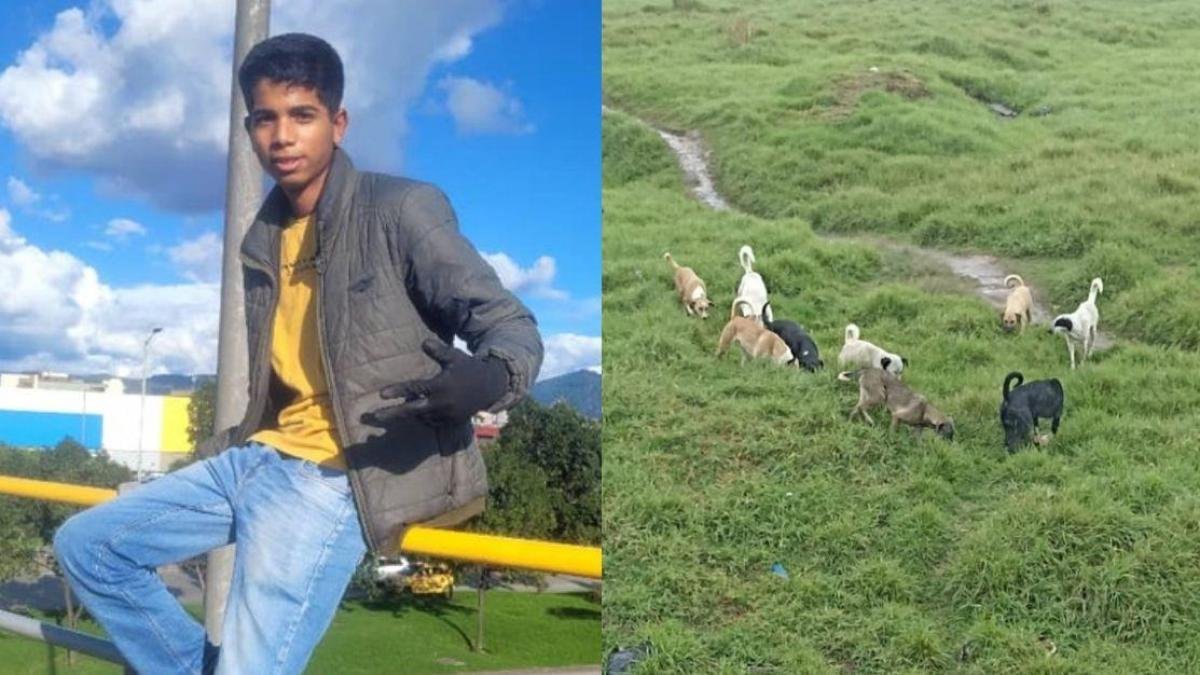 El drama de un padre que aun no le ha dicho a su hijo que perdió sus brasos tras ataque