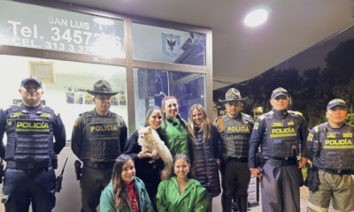 Rescatan a Perrita Pomerania que Había Sido Hurtada y Luego Vendida Presuntamento por Un Plato de Comida en Bogotá