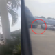 Los videos del Momento exacto de Millonario Robo en Aeropuerto de Riohacha Luego de que Camioneta Irrumpió en Pista