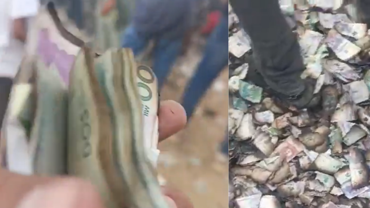 Video | Personas Se Lanzaron A Recoger Dinero Incinerado Tras Robo A Carro de Valores en Riohacha: 'Hoy y ti te Pago'