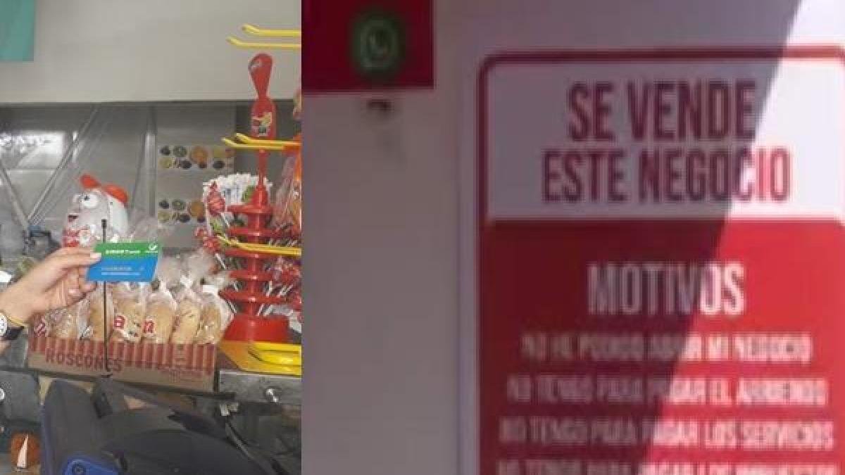 Alarmante Investigación Revela que solo el 35 % de las Empresas de Santander Sobrevivido A LOS 5 Años de Su Creoción