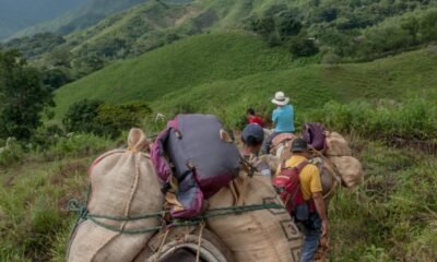EN 2024 MÁS DE 6.300 DESPLAZADOS LLEGARON A MEDELLÍN; ONU PROMODIO DE 17 PERSONAS CADA Día: Personería