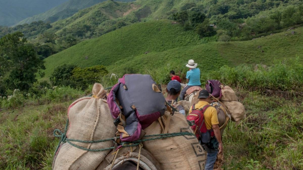 EN 2024 MÁS DE 6.300 DESPLAZADOS LLEGARON A MEDELLÍN; ONU PROMODIO DE 17 PERSONAS CADA Día: Personería