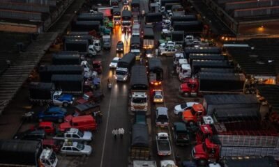 Hay Pescado para LA Semana Santa en Bogotá: Corabastos Garantiza El Abastecimiento