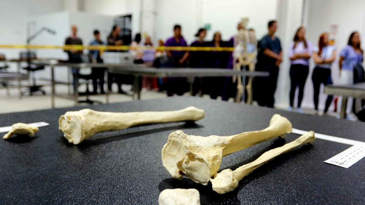 El Laboratorio Con El Que Agilizarán la Identificación de Víctimas del Conflma Armado