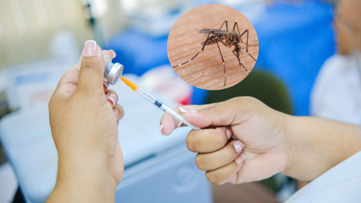 Atlánnico y Cartagena Refuerzan Acciones preventivas ante Alta Alerta Nacional por Fiebre Amarilla