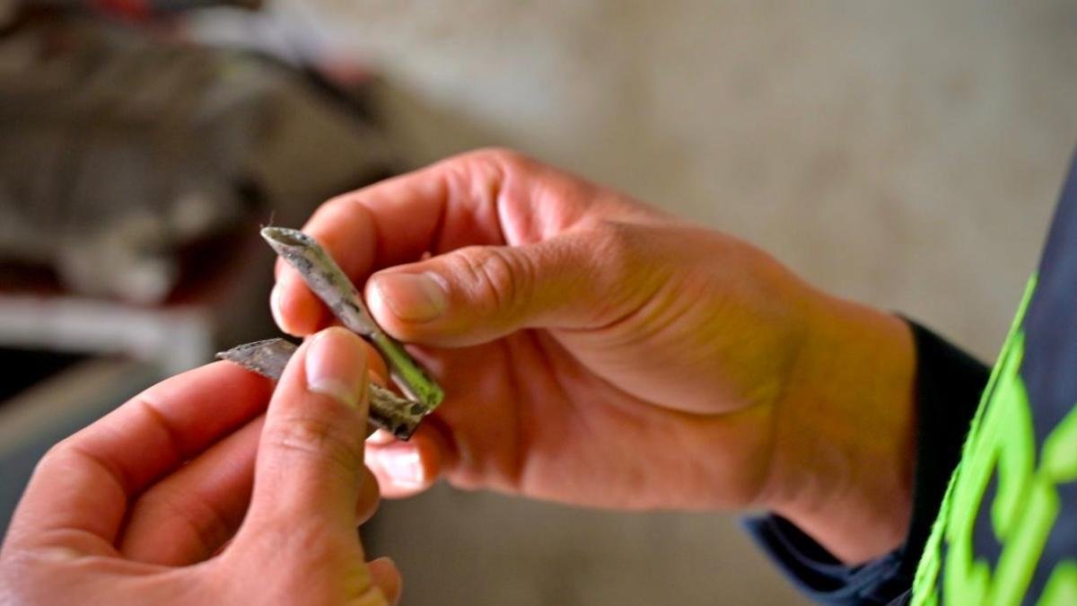 ESTA SEMANA SANTA LA INFORMACIÓN DE LA CIUDADANIA ES VITAL PARA QUE CAIGAN REDES DE