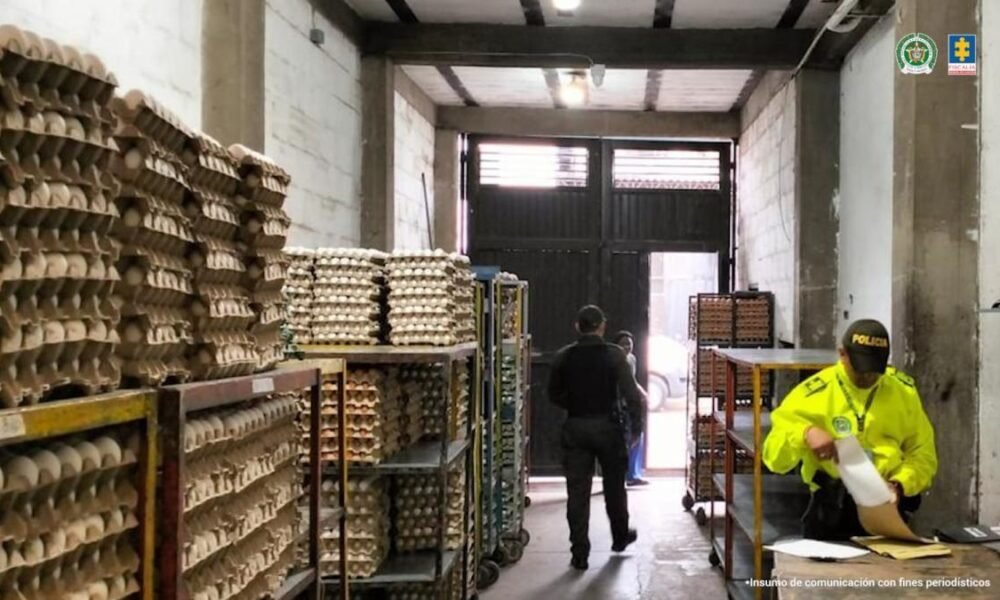 A Través de la Venta de Huevos, Dos Mujeres Habrían Lavado Dinero para Banda Criminal de Buenaventura