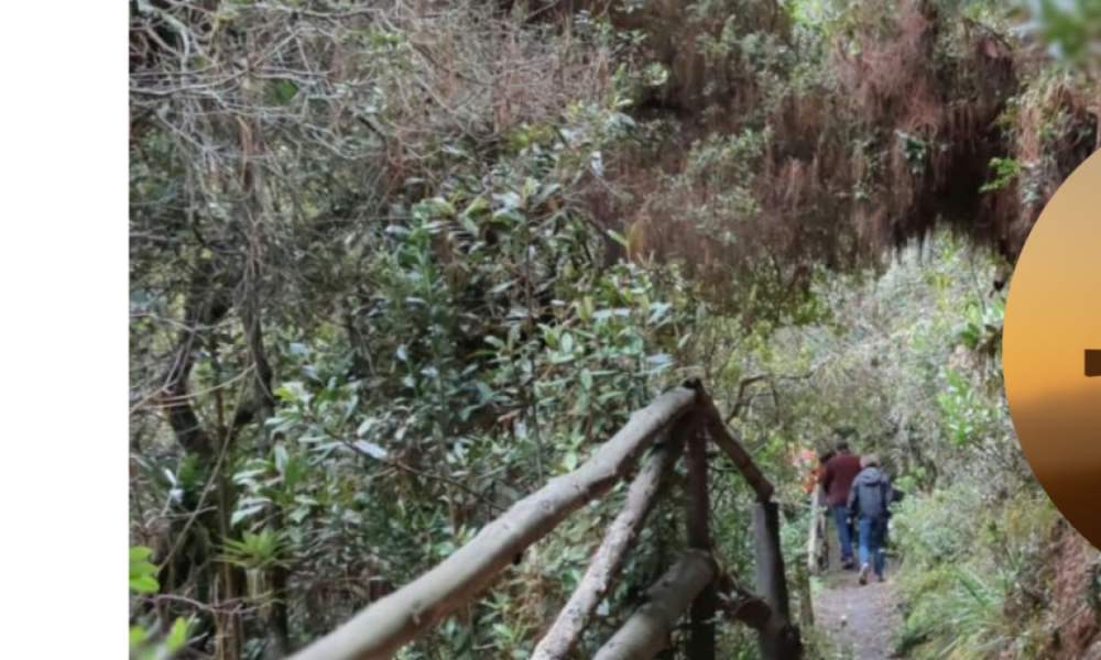 El hijo de Estos, los Senderos Ecológicos, los que Puede Ir en Bogotá en Semana Santa 2025; ojo a horario y requisitos