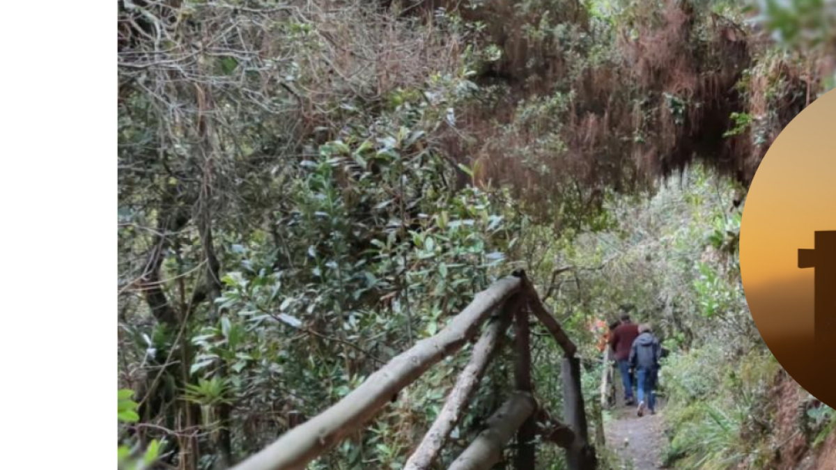 El hijo de Estos, los Senderos Ecológicos, los que Puede Ir en Bogotá en Semana Santa 2025; ojo a horario y requisitos