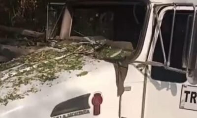 El director de una grúa murió