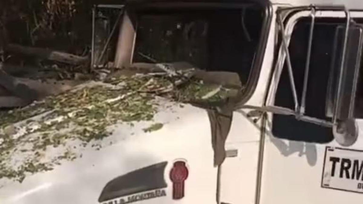 El director de una grúa murió