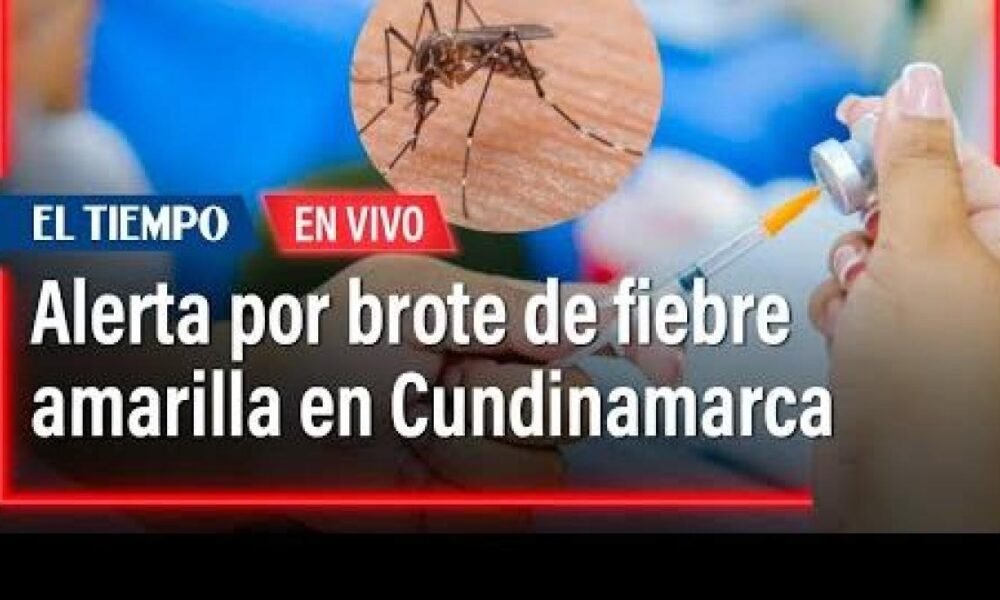 Cundinamarca en alerta por brote de fiebre amarilla: vacunación intensificana