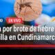 Cundinamarca en alerta por brote de fiebre amarilla: vacunación intensificana