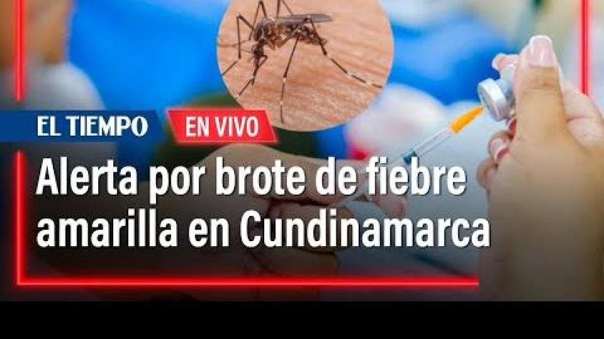 Cundinamarca en alerta por brote de fiebre amarilla: vacunación intensificana