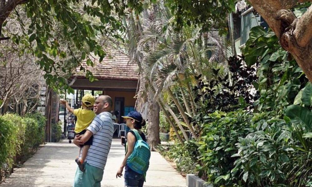 Zoológico de Barranquilla, listo para celebrar el día de la niñez